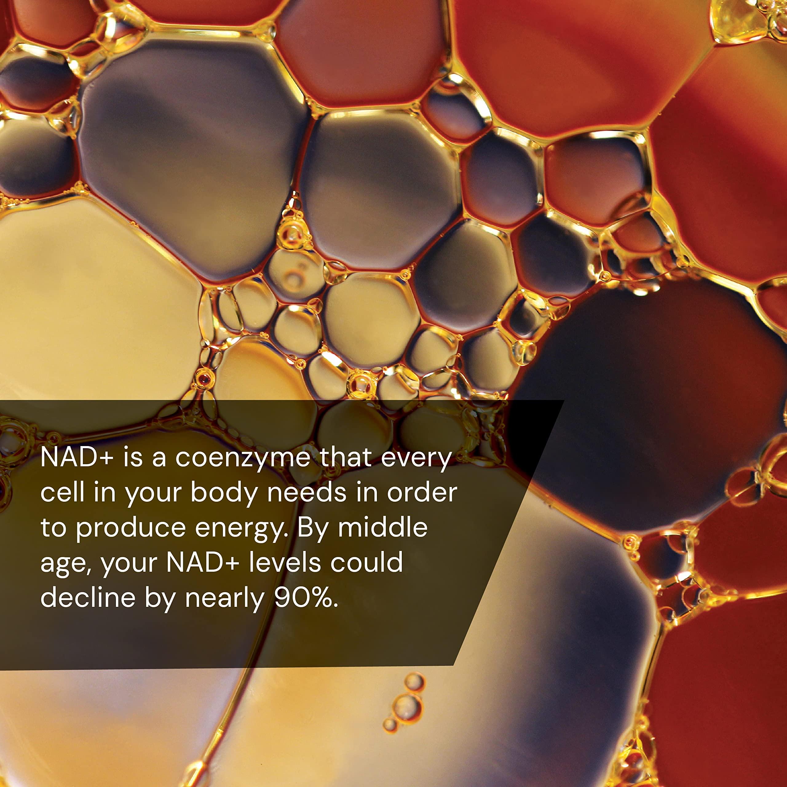 Novex Biotech Novex Biotech Oxydrene NAD+ Enhancer - Natural Supplement Promoting Metabolism and Cardiovascular Support for Men and Women - (60 Capsules)