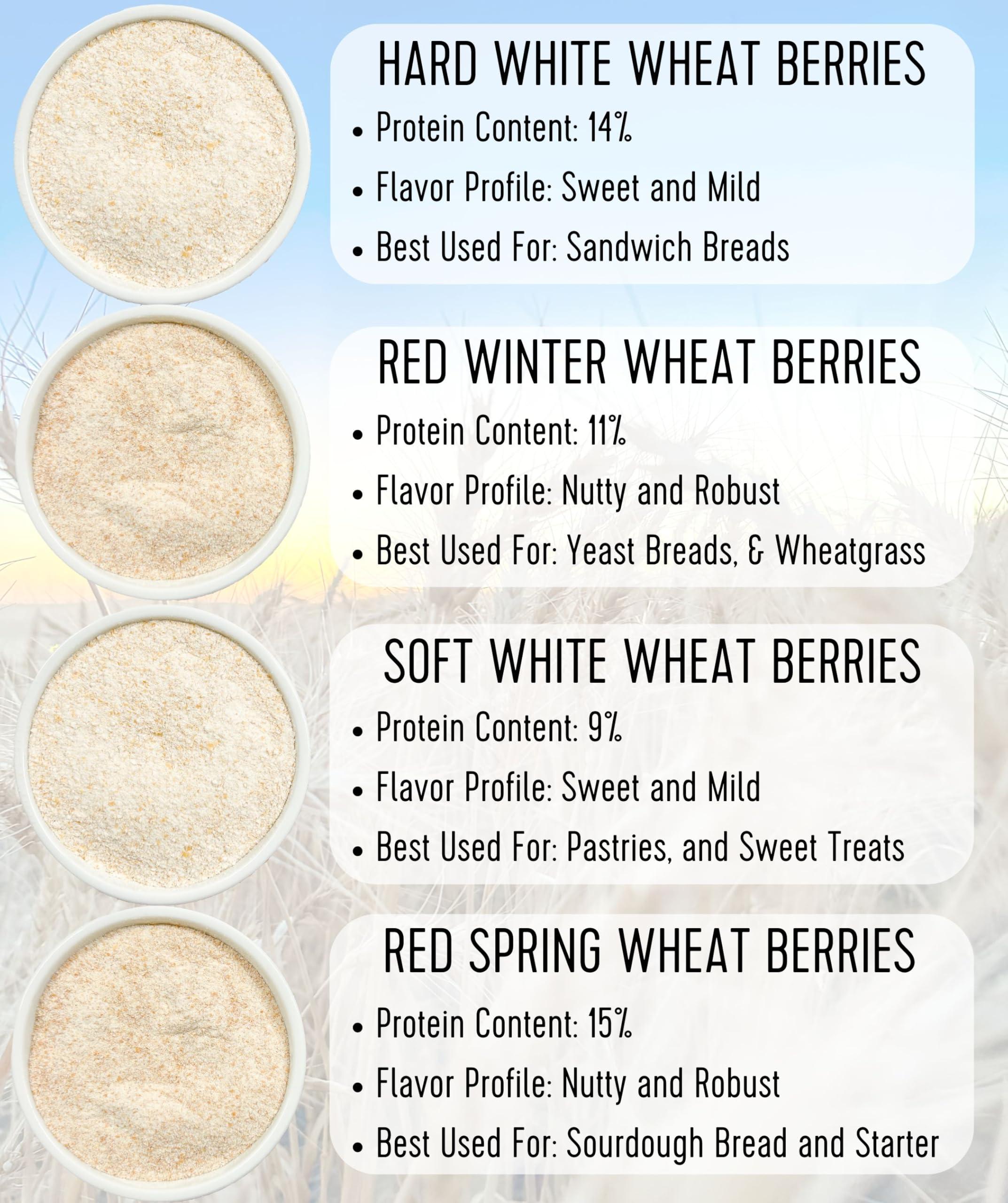Palouse Brand Certified Glyphosate Residue Free Hard White Whole Wheat Flour | 3 LBS | Bread Flour | Non-GMO | 100% Non-Irradiated | Kosher | USA Grown | Field Traced | Resealable Bag