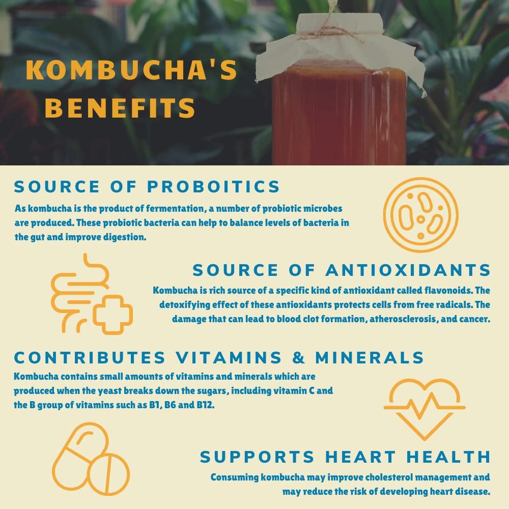 Bambucha Kombucha Bambucha Kombucha Variety 12 Pack Case | Chef Crafted Flavors, 100% Raw Kombucha Live Cultured Tea Drink | Organic, Vegan, Gluten Free, Non GMO, Probiotic (12 Fl Oz Cans)