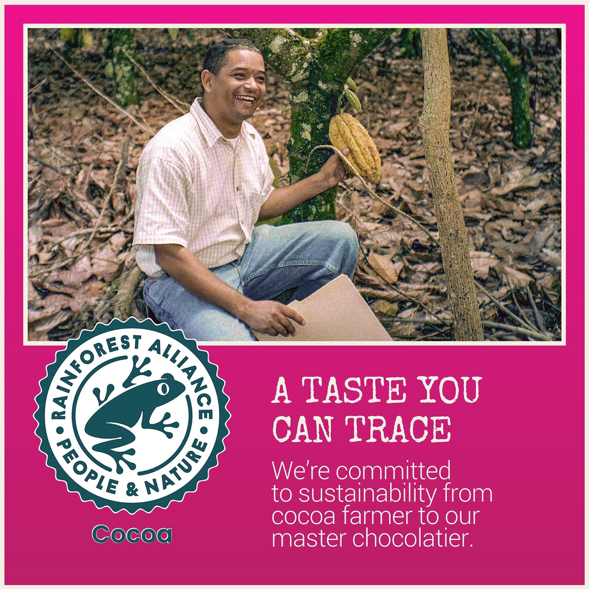 Source Naturals Source Naturals Niacinamide B-3 100mg Metabolic Support - 250 Tablets