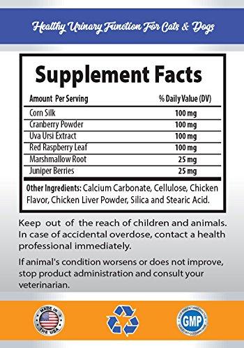 PET SUPPLEMENTS cat Urinary Tract Supplement - Healthy Urinary Complex - for Dogs and Cats - Advanced Support - CHEWABLE - cat Cranberry Supplement - 1 Bottle (90 Chews)