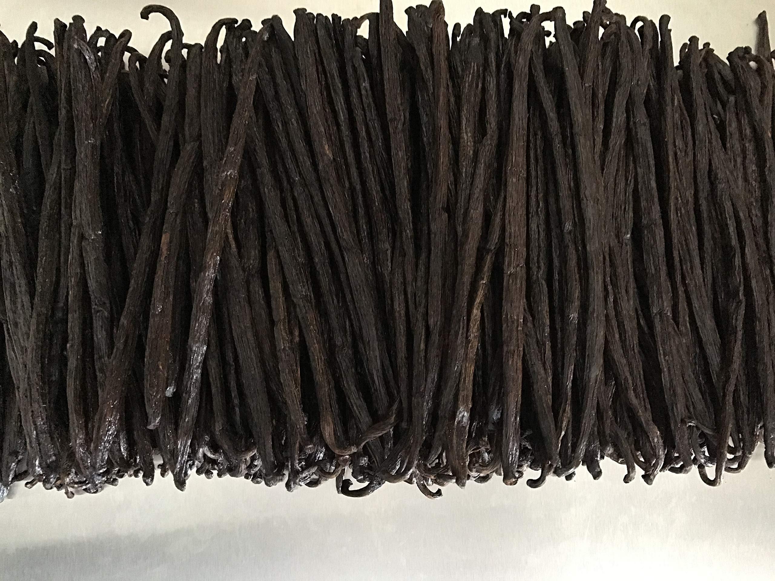 FITNCLEAN HERBS AND SPICES 50 Madagascar Organic Vanilla Beans Grade B. Certified USDA Organic. 5"-7" by FITNCLEAN VANILLA for extract, Cooking and Baking. Whole NON-GMO Bourbon Pods