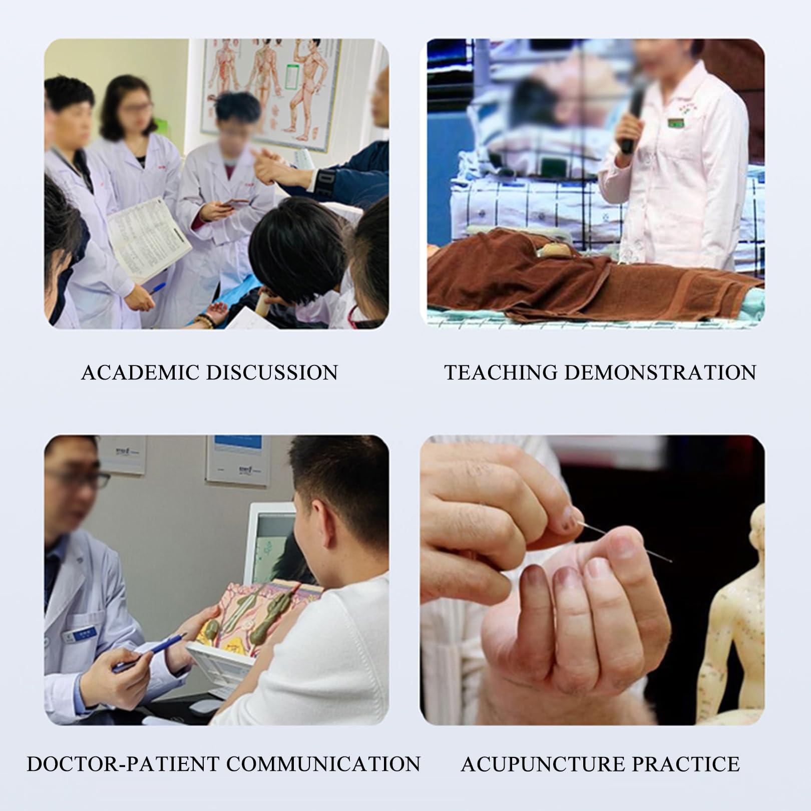 CUAIBB Acupuncture Model 18.9 inch 256 Acupoint, Human Acupoint Model Full Silicone Body, Acupuncture Doll for Chinese Medicine Teaching Learning Beginners - English Marking