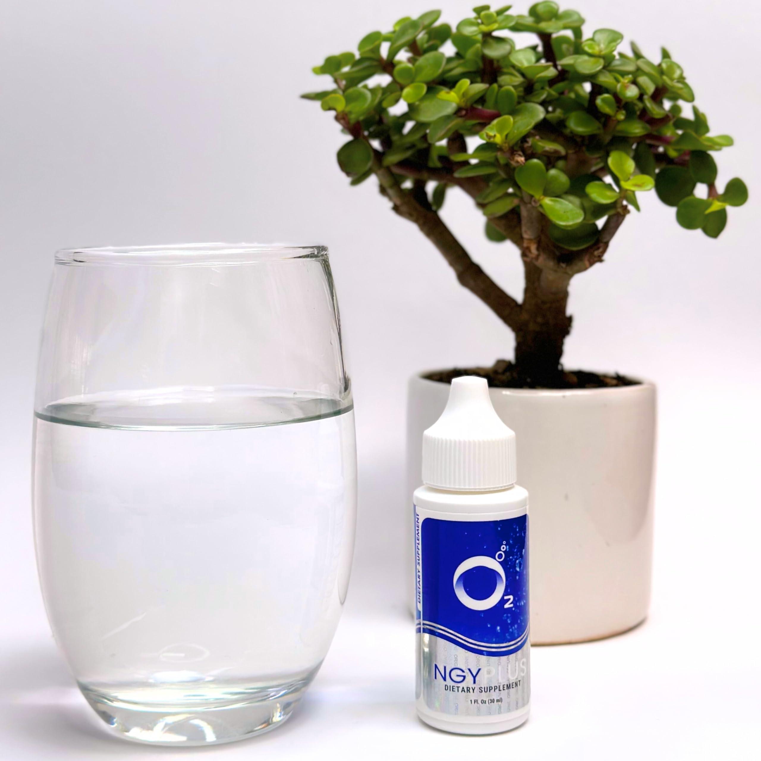 NGYPLUS NGYPLUS O2 Liquid Oxygen - Dietary Supplement - Your Ultimate Health and Wellness Formula with Silica Power!