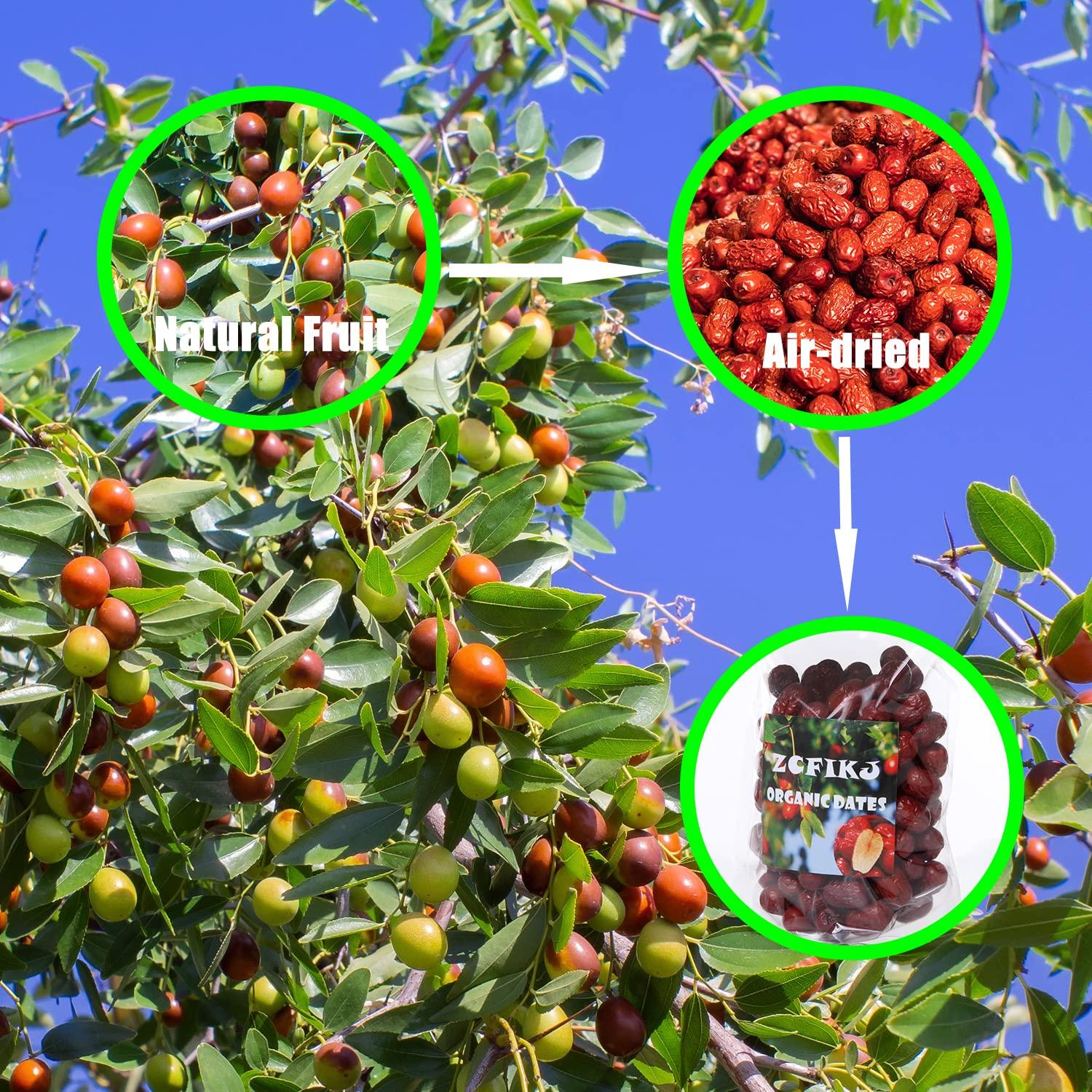 ZCFIKJ Jujube Date,Chinese Red Jujube Dates,Dried Red Date Jujubes 18 oz Organic Jujube All-Natural Non-GMO Red Dates 500g Healthy Dried Fruit