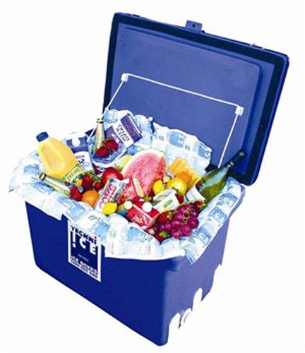 Techni Ice Techni Ice Standard 2 Ply Disposable/One to Two-time Use Dry Ice Replacement Sheets (10)