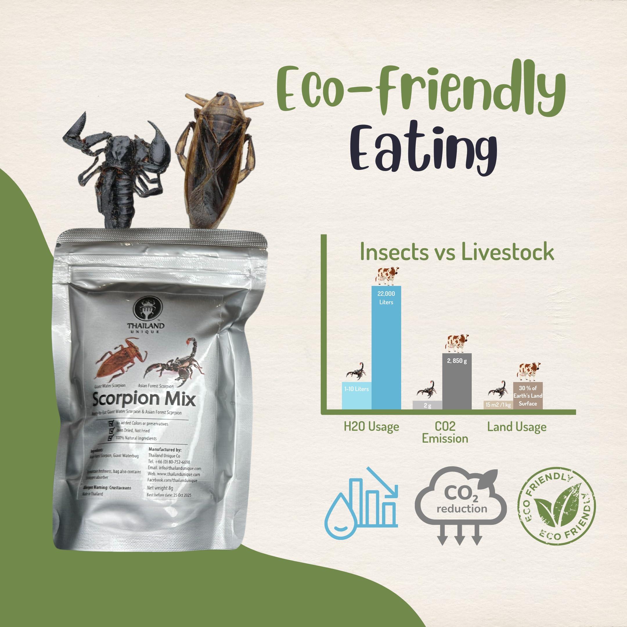 Thailand Unique Thailand Unique Scorpion Mix - 2 Pieces with Asian Forest and Giant Water Scorpion, Dehydrated Edible Insects for Humans, Nutritious Bugs Superfood Weird Unusual Snack Gift