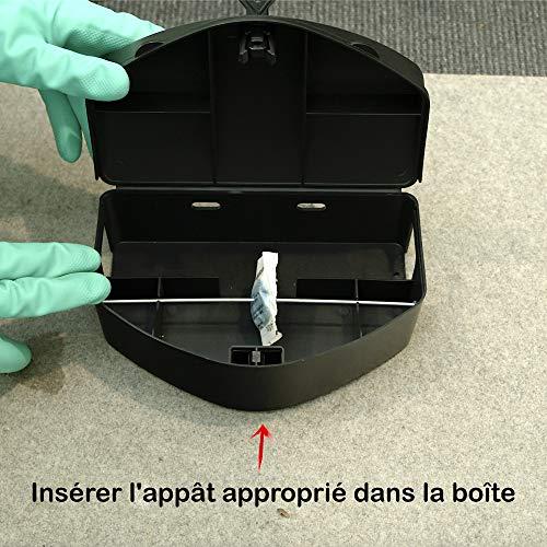 PROTECT EXPERT Protection Expert RASOUBOIT - Box for All Rodents with Key Lock - Rigid and Reusable, Effective, Safety