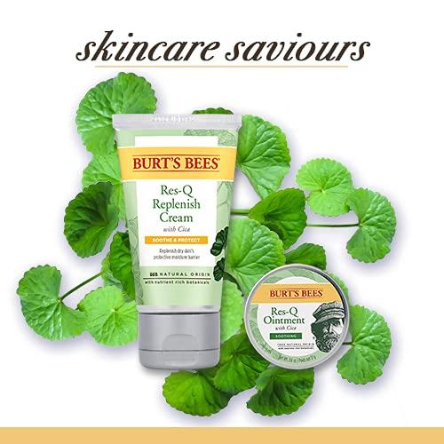 Burt's Bees Burt's Bees 100% Natural Origin Multipurpose Res-Q Ointment with Cica, 15g, 15 g (Pack of 1)