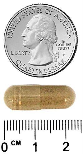 Garden of Life Vitamin Code 50 and Wiser Men's Formula - 240 ct