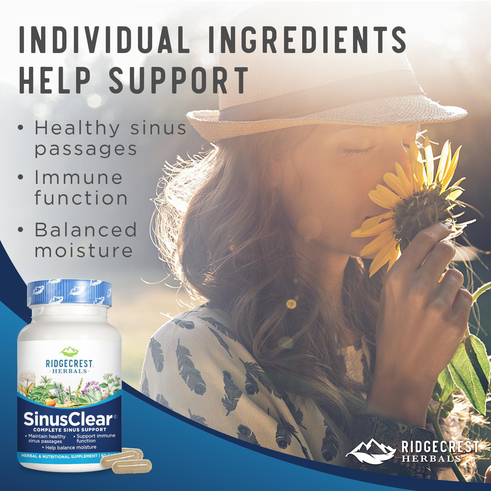 Knorr Knorr Soup Mix and Recipe Mix For Soups, Sauces and Simple Meals Vegetable No Artificial Flavors 1.4 oz, Pack of 12