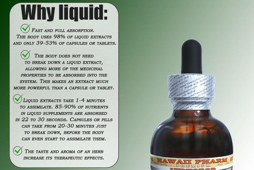 HawaiiPharm Durian Liquid Extract, Durian (Durio Zibethinus) Tincture Supplement 15x4 oz