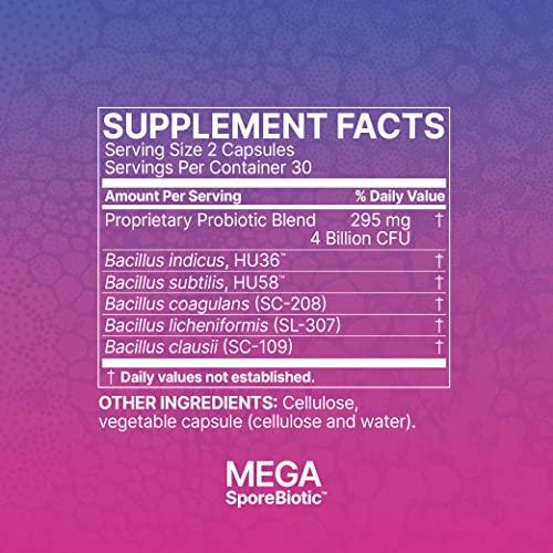 Microbiome Labs Microbiome Labs MegaSporeBiotic (60 Capsules) + MegaPre (5.5 oz Powder) Probiotic Prebiotic Bundle - Spore-Based Probiotic with Prebiotic Fiber Powder