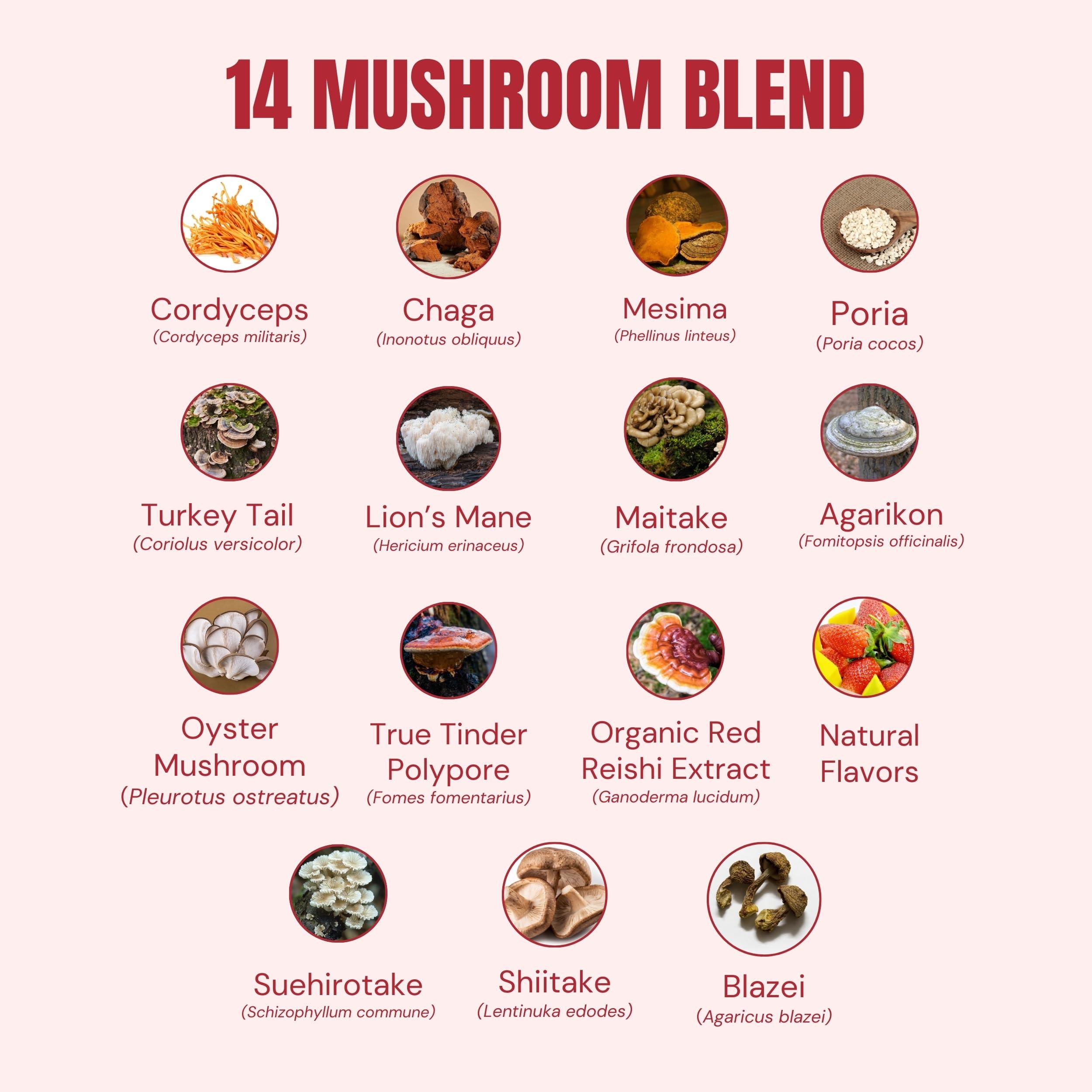 Troomy Nootropics Troomy Daily 14 Mushroom Blend Gummies - Great Tasting Natural Mango Strawberry Flavor, Gelatin-Free, Gluten-Free, Vegetarian - 60 Count