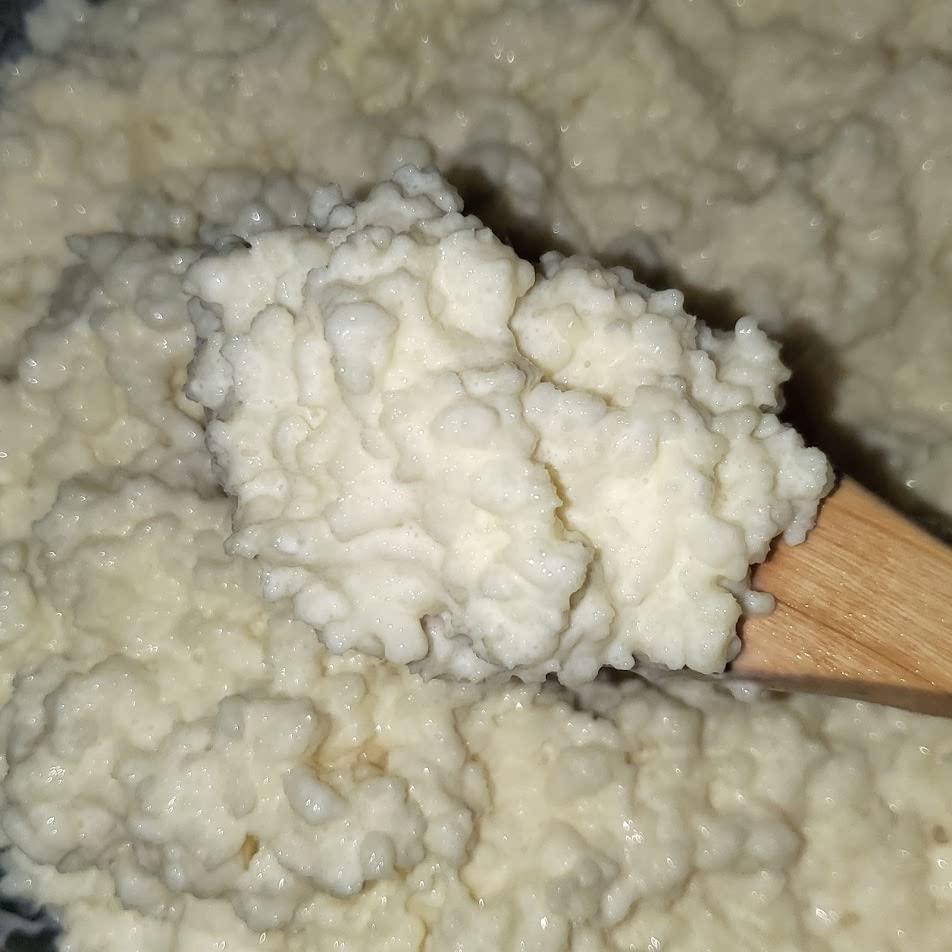 Xapienx LLC Búlgaros de Leche, 30 gramos, (MX)