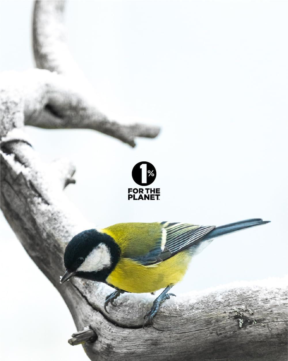 Jackson's Jacksons Cell Salt #7 Kali sulph 6X (500 Pellet Bottle) Certified Vegan, Lactose-Free Kali sulphuricum 6X