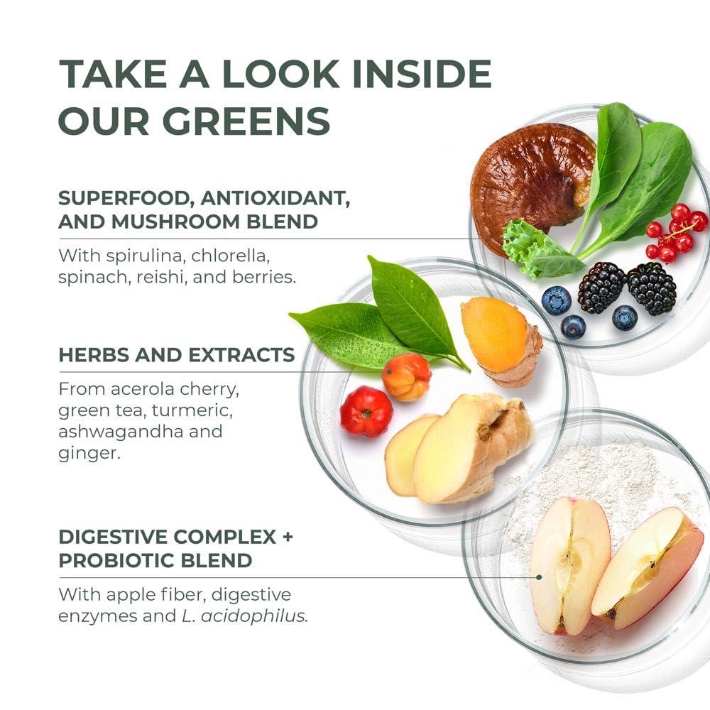 Primal Harvest 2 Pack, Super Greens Powder, 30 Servings w/+50 Greens Superfood Chlorella, Probiotics, Green Tea, Wheatgrass, Kale, Turmeric, Green Superfood Powder for Energy - Primal Greens