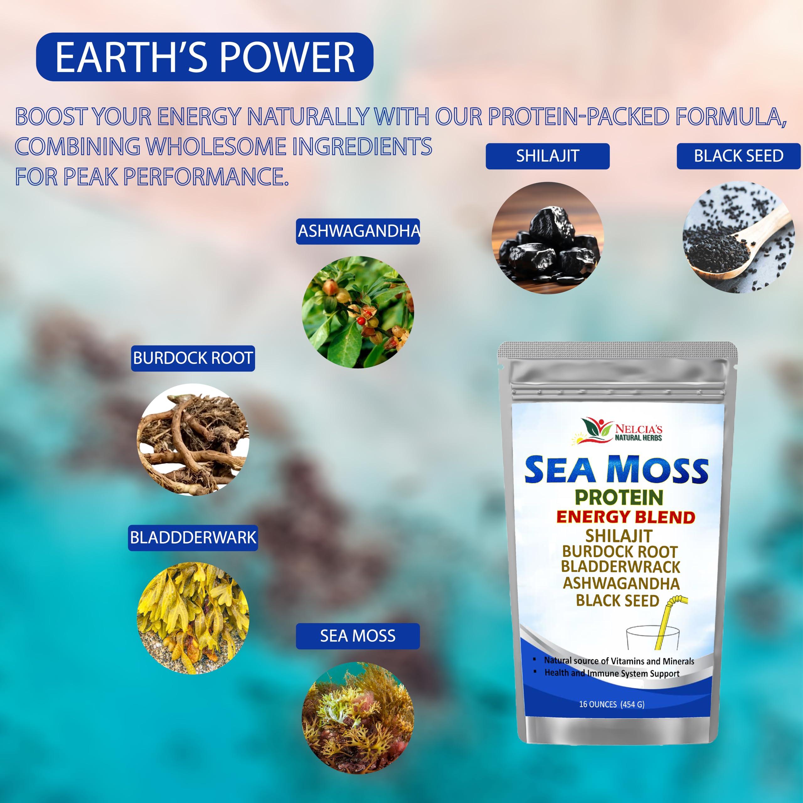 Nelcia'S Natural Herbs Nelcia'S Natural Herbs Sea Moss Ashwagandha Protein Powder -Natural Irish Sea Moss, Bladderwrack and Burdock Root, Black Seed and Shilajit Powder (16oz)