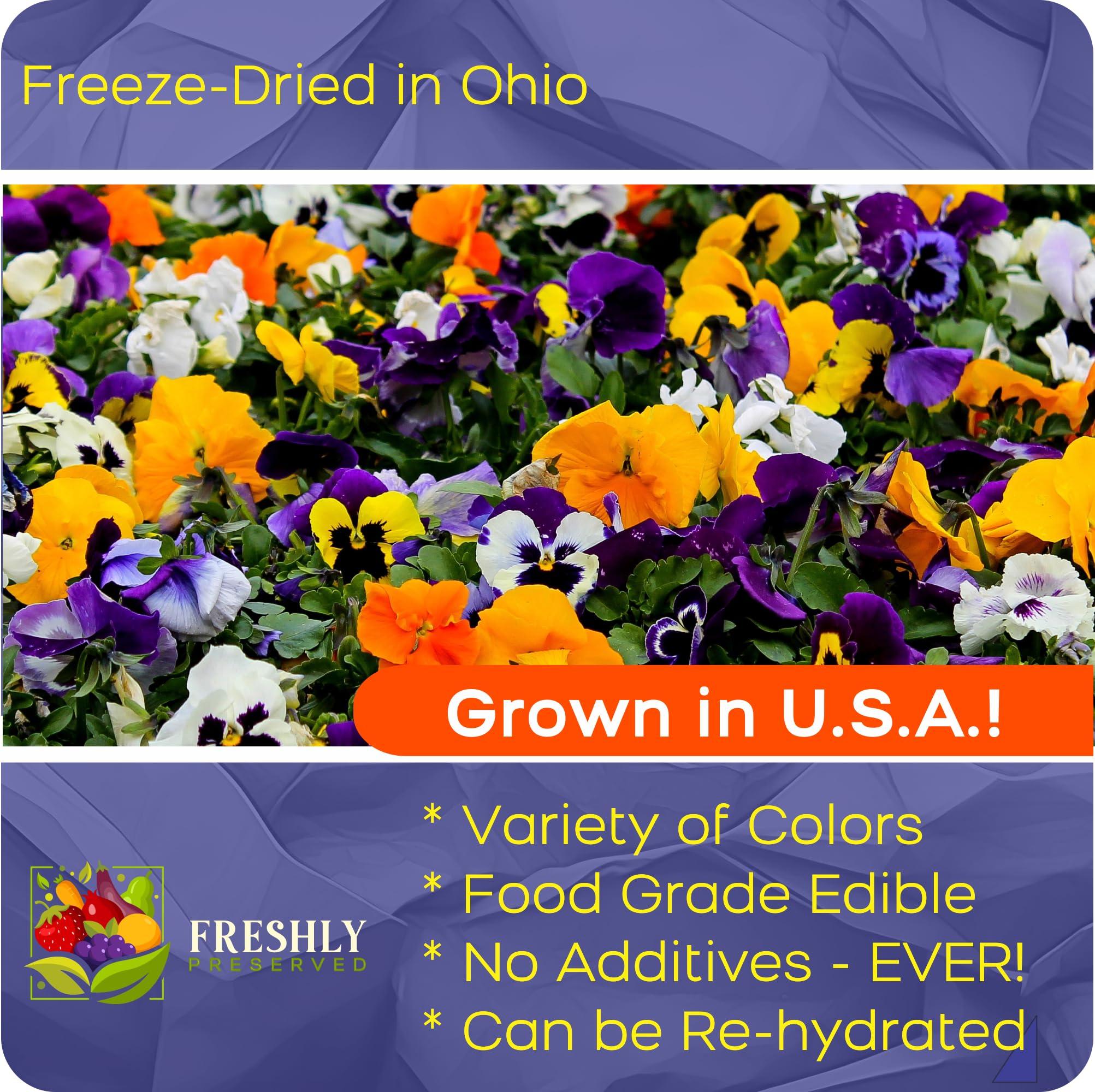 FRESHLY PRESERVED Pansy Edible Flowers for Cocktails & Desserts - 20 USA-Grown Freeze-Dried Flowers for Drink Garnish - Edible Dried Flowers (0.2 oz)