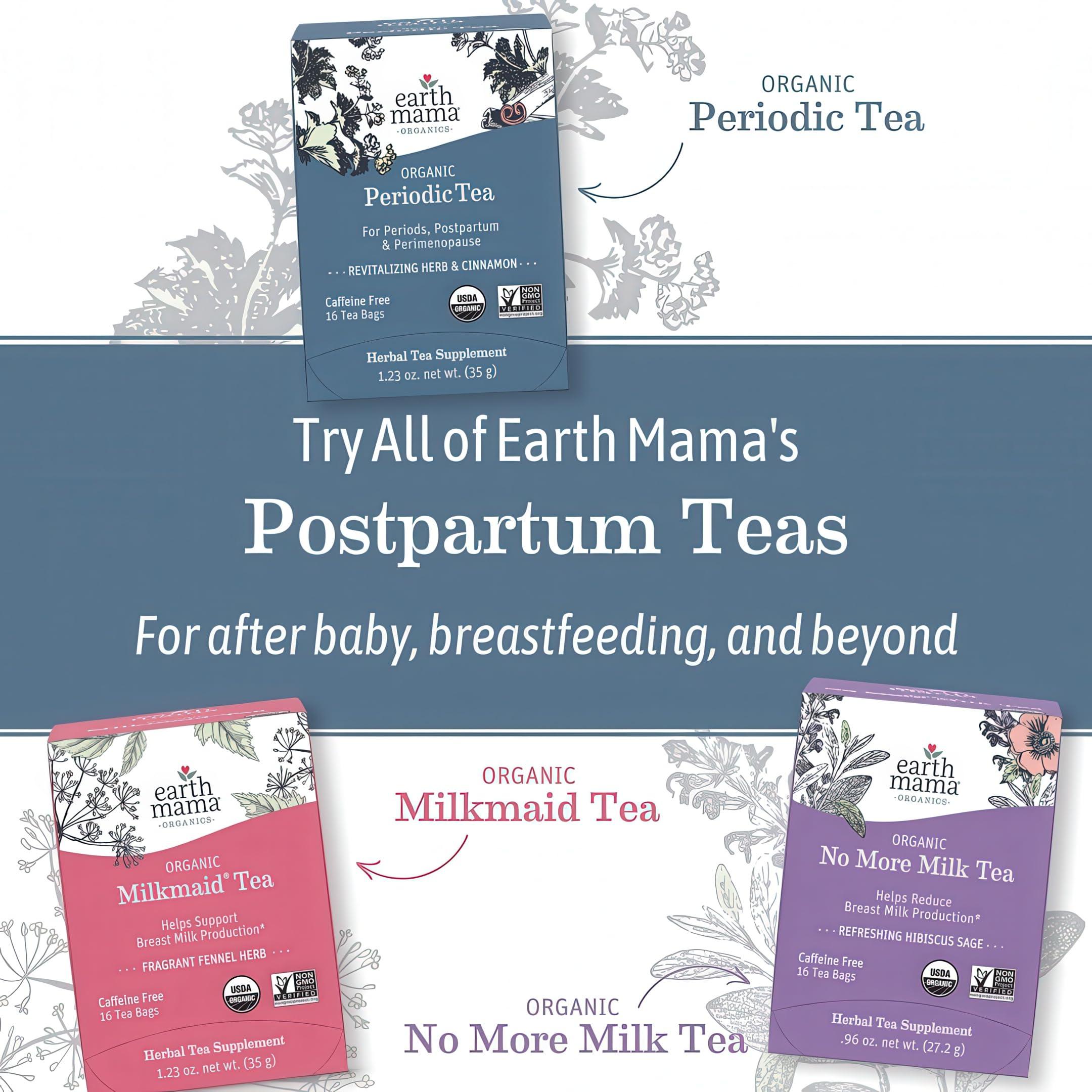 Earth Mama Earth Mama Organic Raspberry Leaf Tea Bags | Labor Tonic & Menstrual Support Herbal Tea, Red Raspberry Leaf Tea for Pregnancy & Postpartum Care Recovery, Caffeine Free Tea, Non GMO, (16-Teabags, 2-Pk)