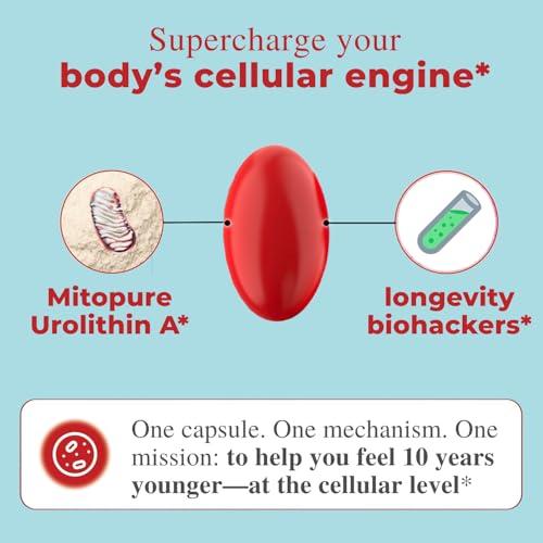 Fitura Fitura Anti-Aging Urolithin A - Scientifically Proven for Muscle Strength & Cellular Energy - Improve Mitochondrial Health, Boosts Cellular Function, Optimize Mitopure for Healthy Aging - 60 Capsules