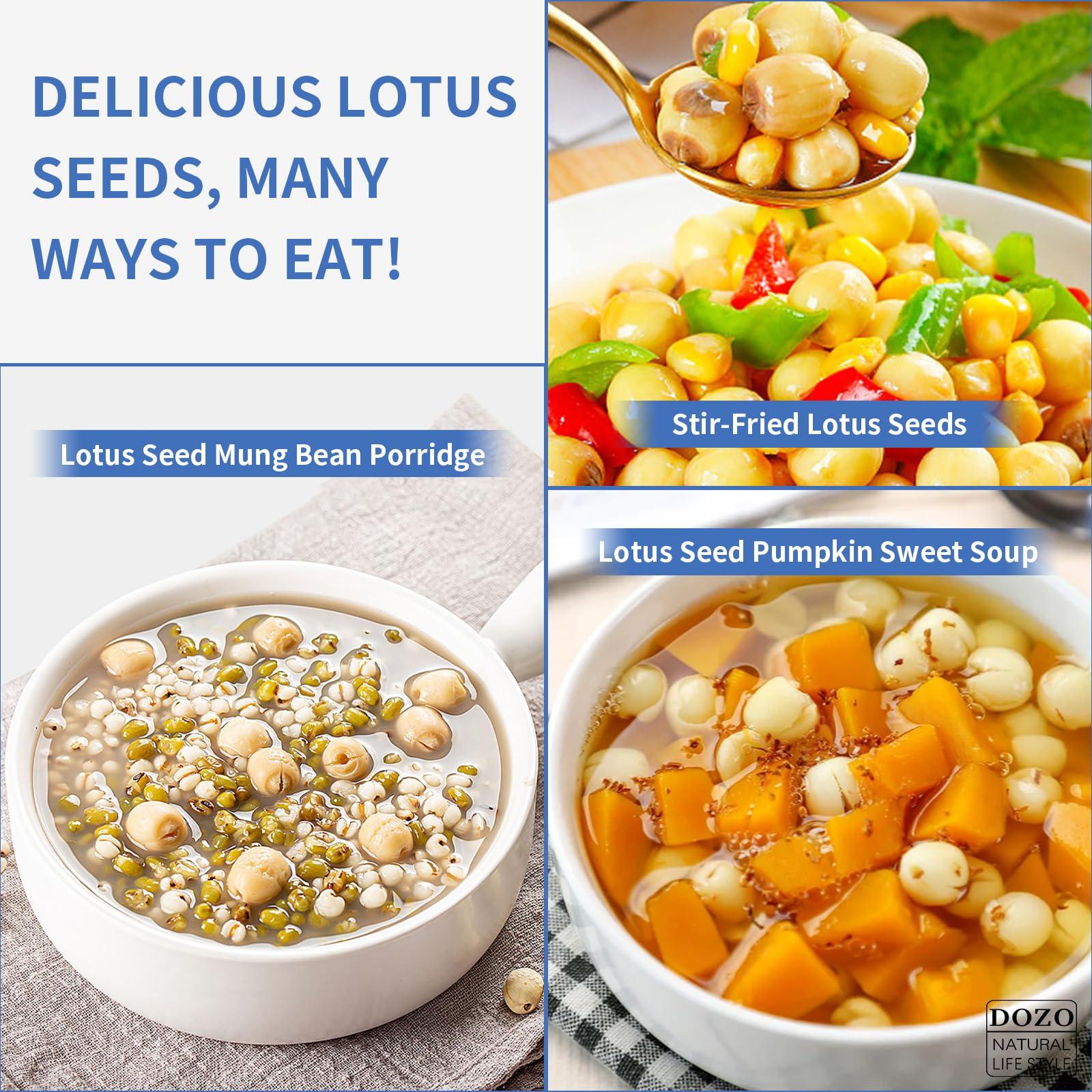DOZO DOZO Natural Dried Lotus Seeds 17.6oz/500g Lotus Seed for Eating Core Removal Dermabrasion Premium Lotus Seed BakingTea