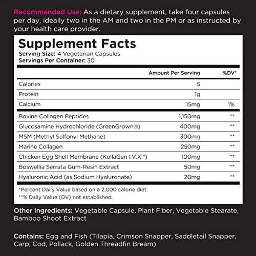 Livingood Daily Livingood Daily Joint Support Bundle - Omega Fatty Acids with Collagen to Support The Overall Joint Health