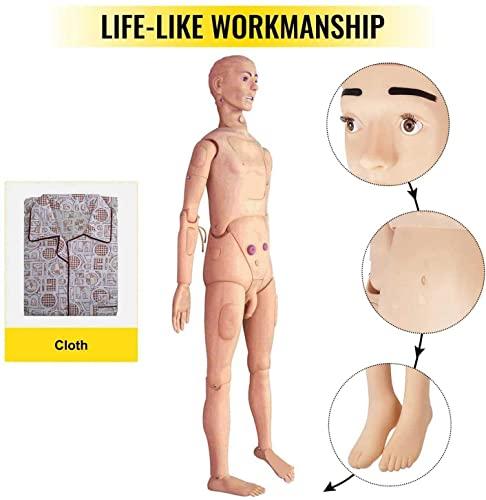 HIMFL Demonstration Human Manikin,Male and Female Nursing Manikin Life Size Patient Care Manikin for The Cure of The Patient Didactic Material in