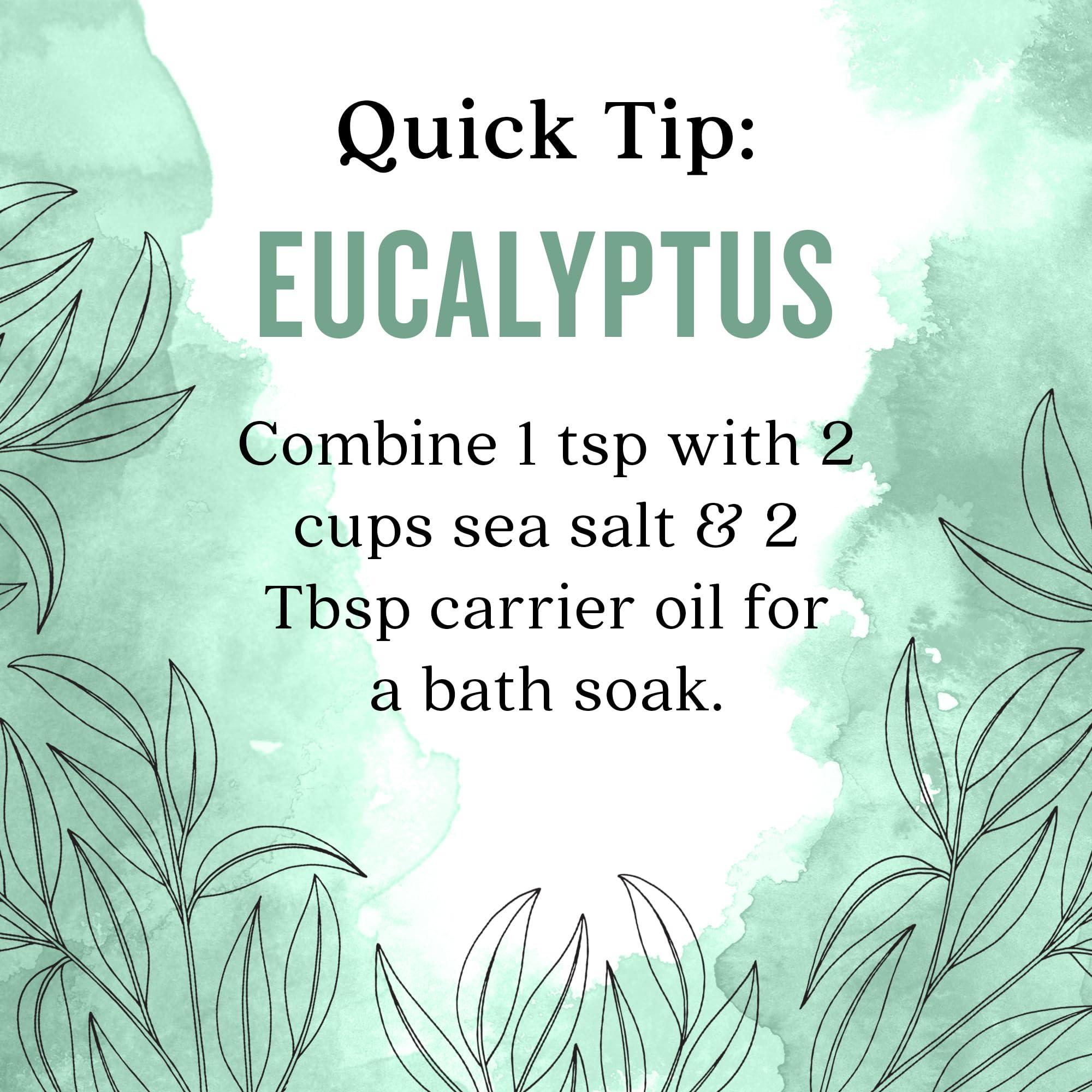 Aura Cacia Aura Cacia Eucalyptus (globulus) Essential Oil 4 fl. oz.