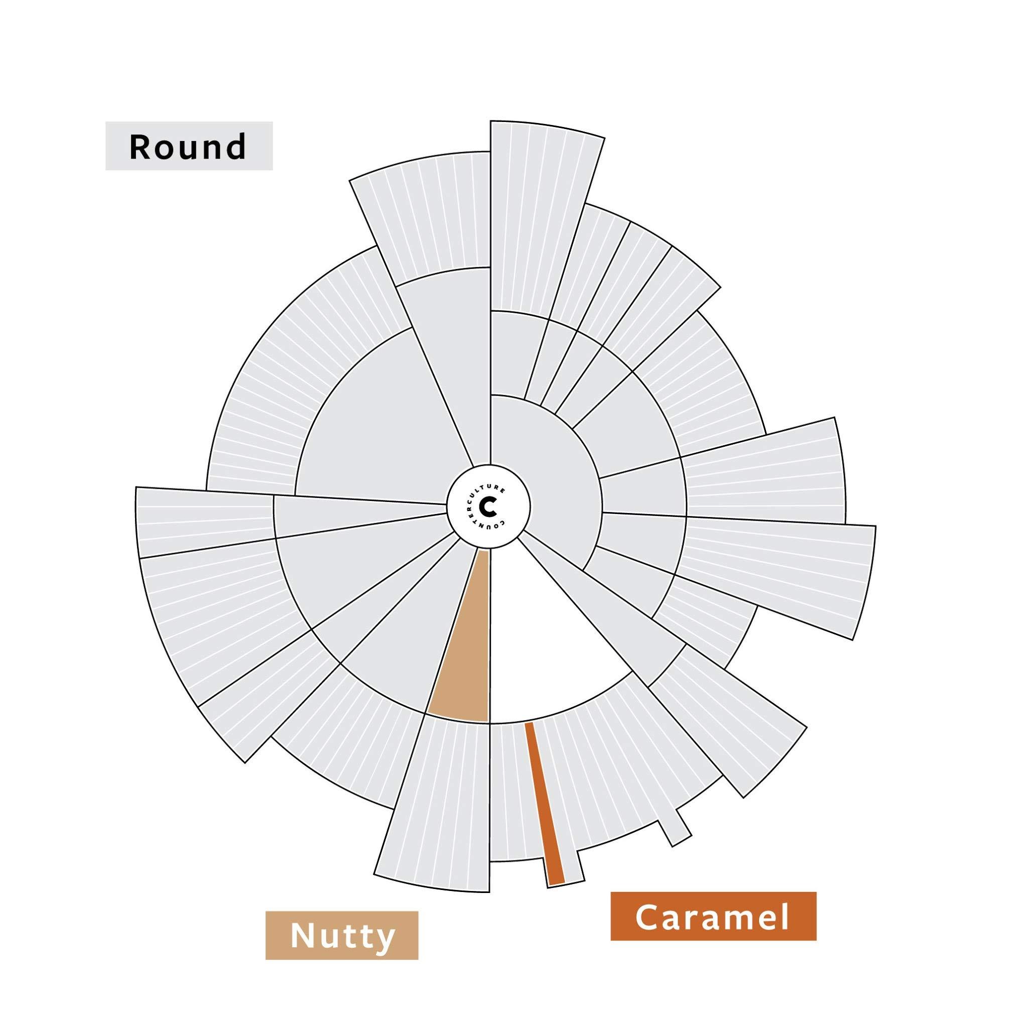 Counter Culture Coffee Counter Culture Coffee Big Trouble - Medium Roast, Sustainably Farmed, Kosher, Whole-Bean Coffee, 12oz (1 Bag)