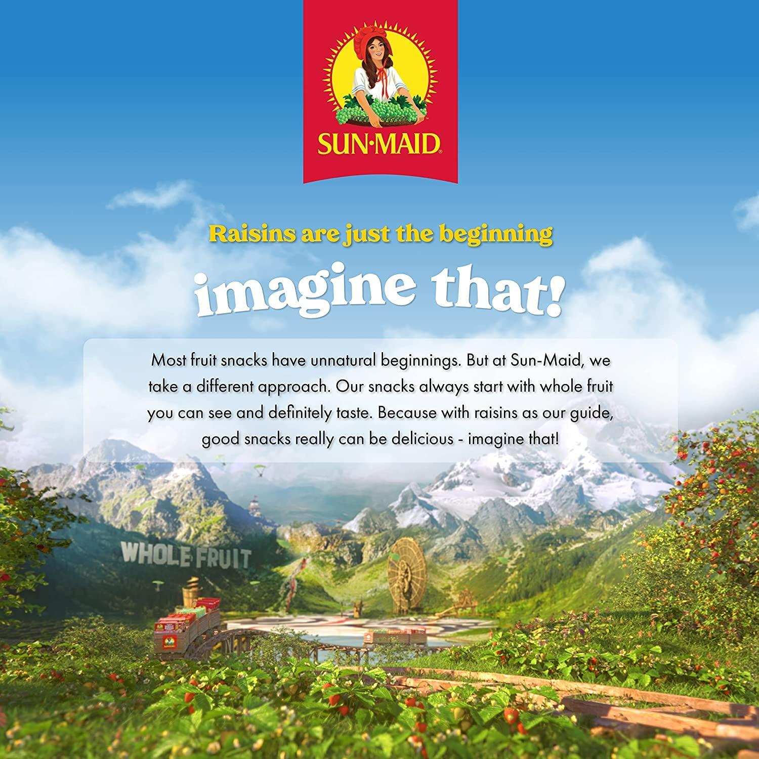 Sun-Maid Sun-Maid, Fruity Raisin Snacks, Sour Mixed Berry, 1.33 Ounce Snack-Size For Kids (200 Total Pouches)