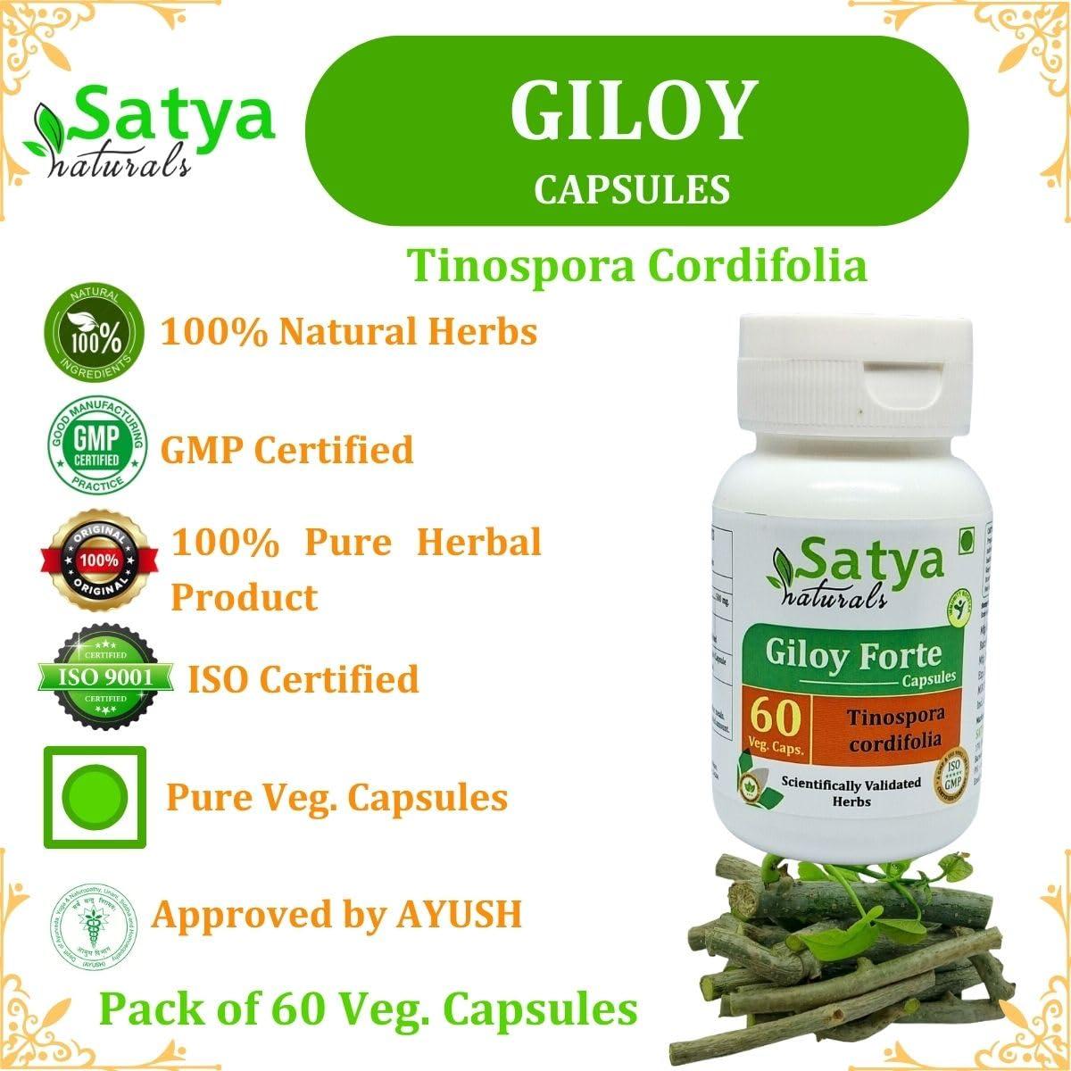 Satya Naturals Giloy Forte Capsules 500 mg. 60 Veg. Capsule | Guduchi (Tinospora Cordifolia) Extract Capsules for Men and women | Indian Ayurvedic Herbal Supplement/Remedies (2 Bottles of 60 Capsules)