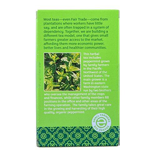 Equal Exchange EQUAL EXCHANGE Organic Peppermint Tea, 20 CT