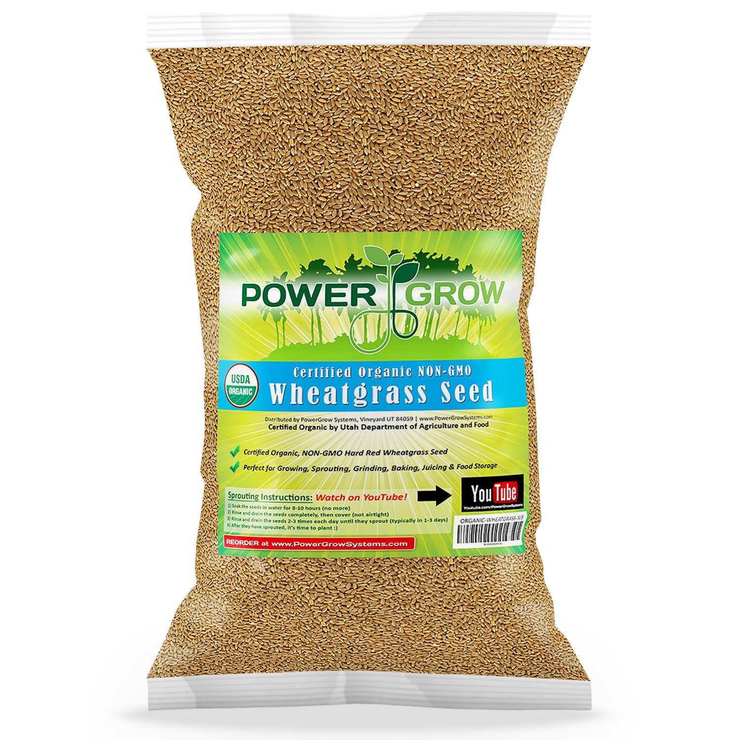 PowerGrow Systems Organic Wheatgrass Seed - Certified Organic Hard Red Wheat by PowerGrow (5 Pounds)