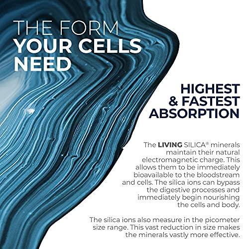 Orgono Living Silica Living Silica Collagen Booster Capsules | Ultra High Absorption | Supports Healthy Collagen and Elastin Production for Joint & Bone Support, Glowing Skin, Strong Hair & Nails (120 Count)