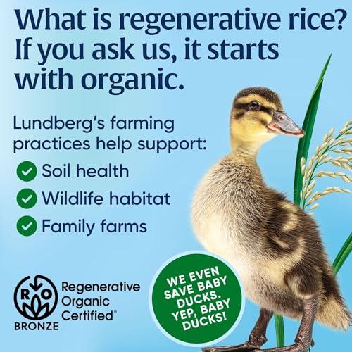 Lundberg Lundberg Family Farms Organic Jasmine Rice, California White, 32 Ounce (Pack of 3)