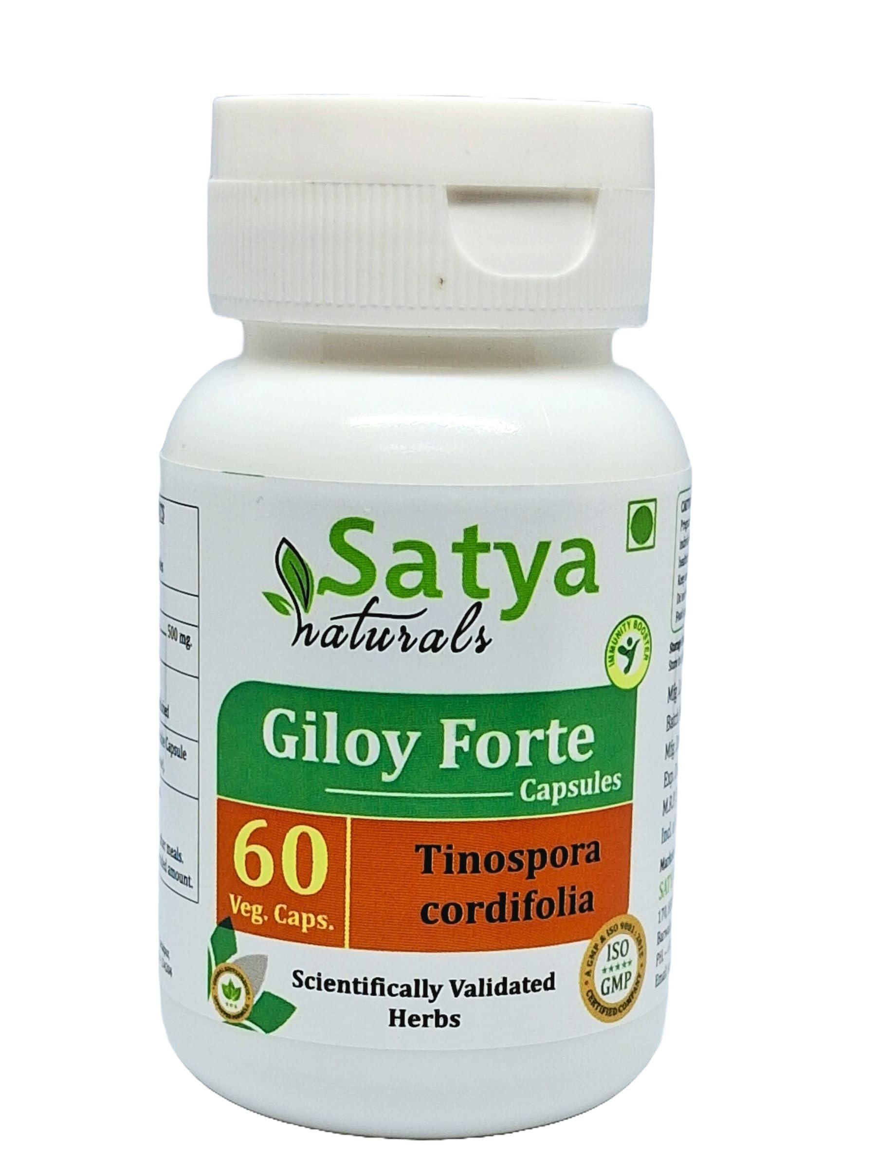 Satya Naturals Giloy Forte Capsules 500 mg. 60 Veg. Capsule | Guduchi (Tinospora Cordifolia) Extract Capsules for Men and women | Indian Ayurvedic Herbal Supplement/Remedies (2 Bottles of 60 Capsules)