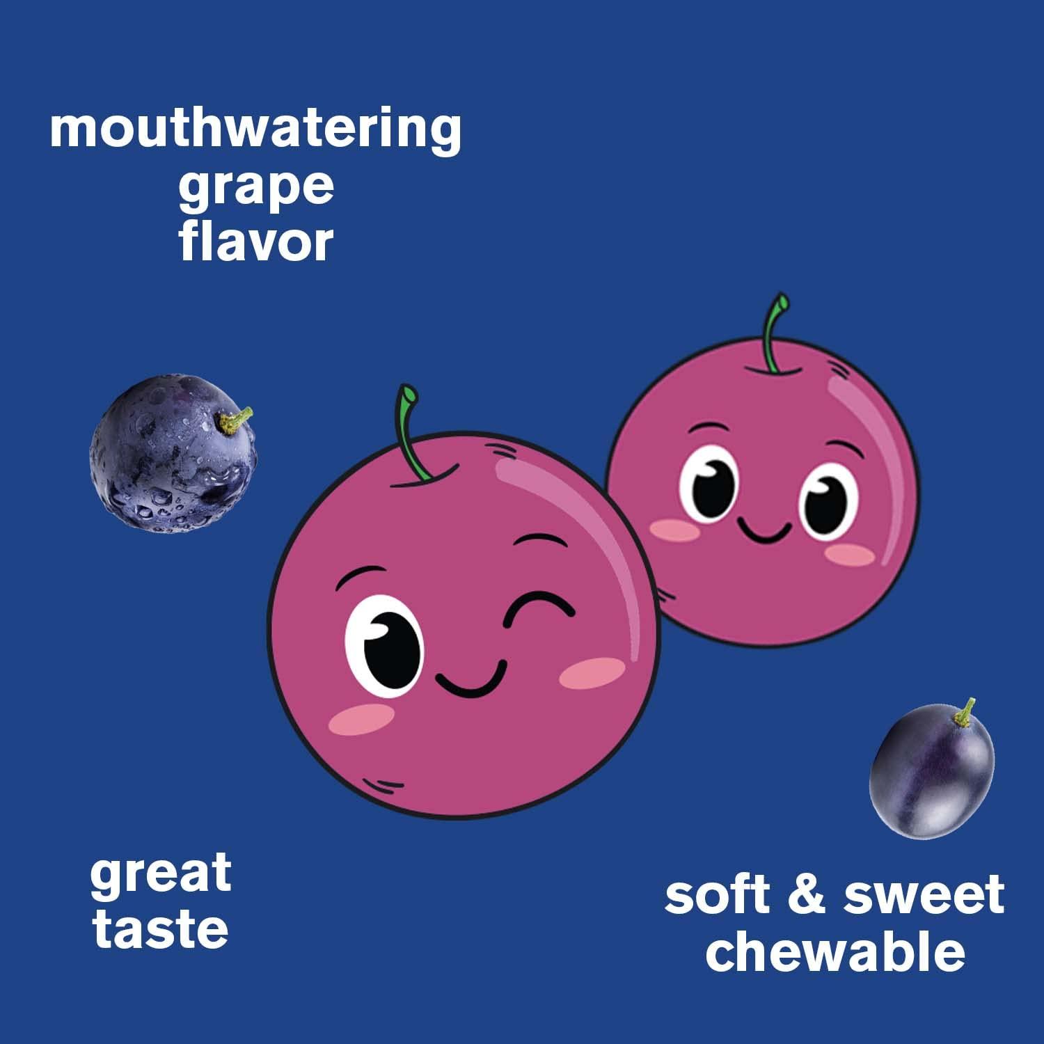 WellYeah WellYeah Iron Gummies for Kids with Vitamin C - Anemia Support, Red Blood Cell Formation, Energy, and Immunity Support Gummy, Iron Supplements for Kids - GMO Free, Natural Grape Flavor - 60 Count