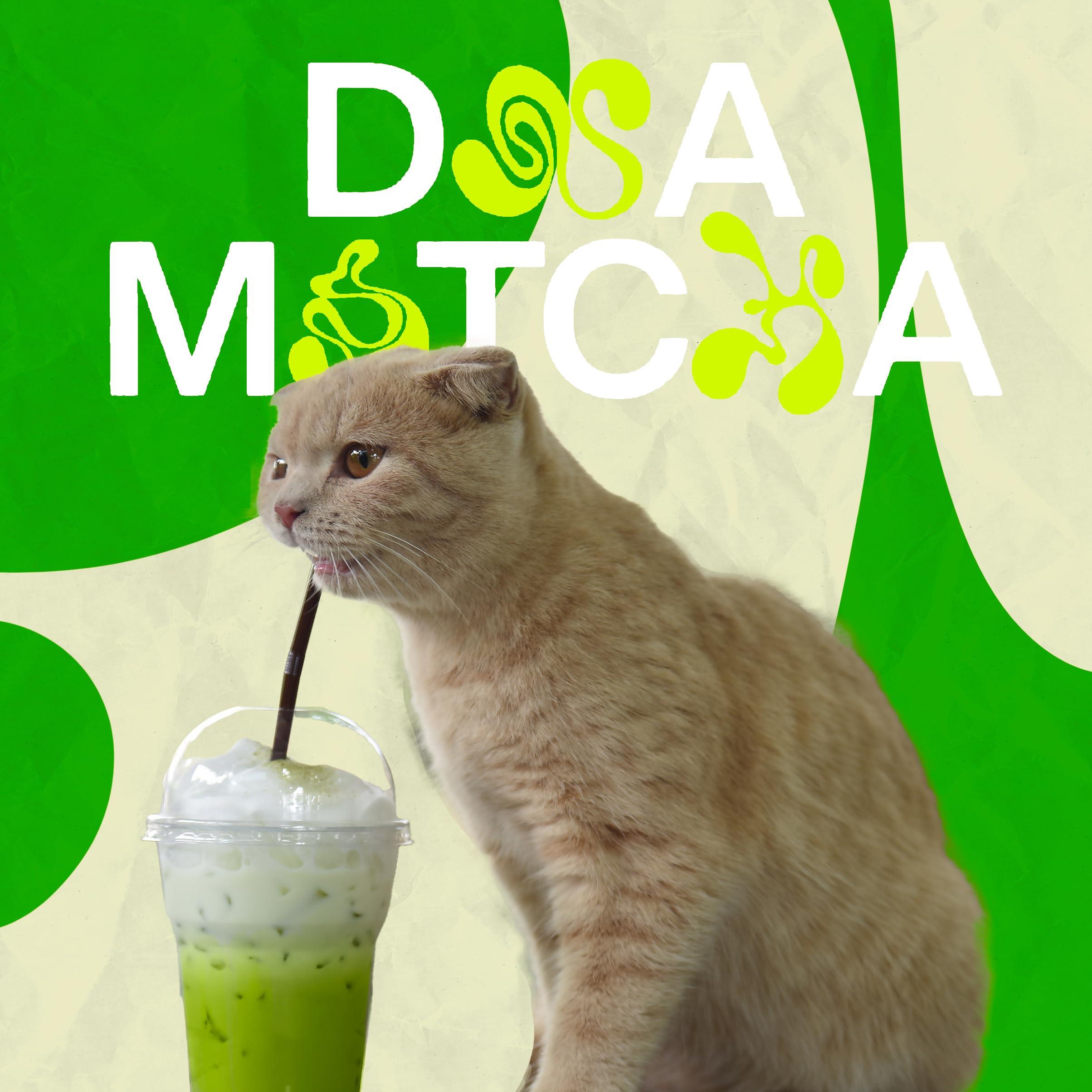 DRINK MATCHA DrinkMatcha Organic Matcha Green Tea Powder 1 LB 100% Pure Matcha | Nothing Added | Perfect for Lattes, Smoothies, Baking (16 Ounce)