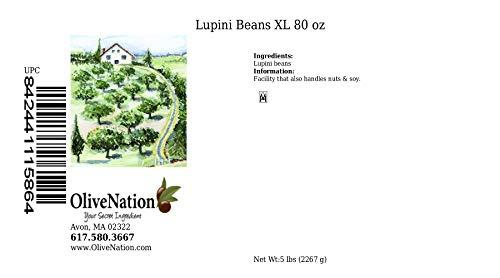 OLIVENATION OliveNation Extra Large Dry Lupini Beans, High Protein Legume for Authentic Mediterranean Flavor, Non-GMO, Gluten Free, Kosher, Vegan - 80 ounces