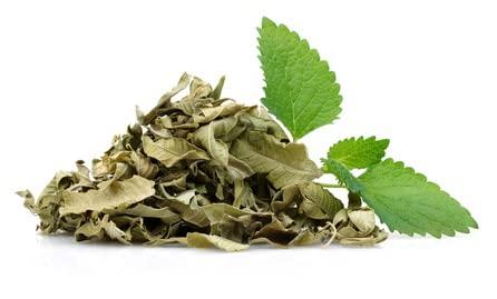 YERBERO Yerbero - Toronjil 2oz (56gr) Lemon Balm Melissa Herbal Tea (Te De Toronjil) | Crafted By Nature100% All Natural Fresh Tea Tea | Non-GMO | Gluten-free.