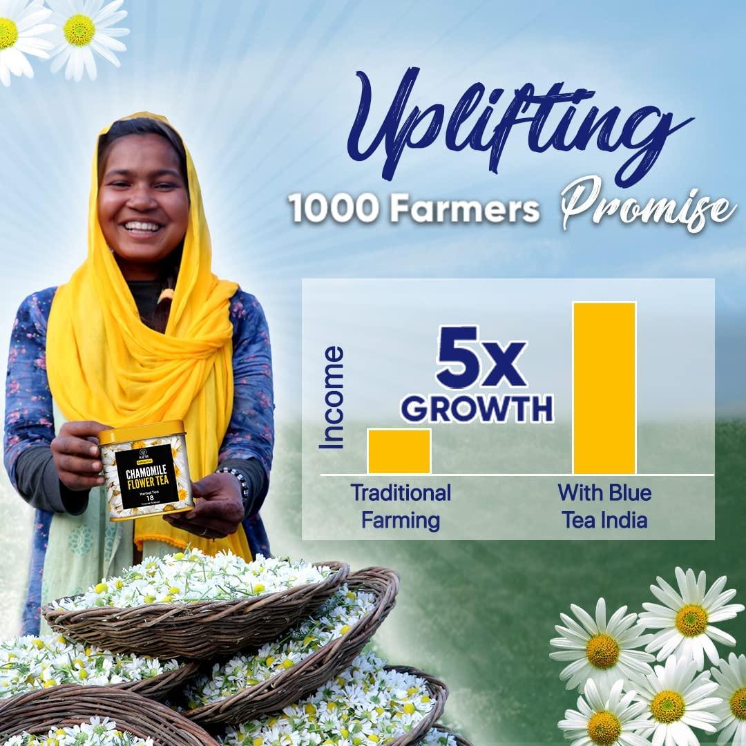 BLUE TEA BLUE TEA - Turmeric Tea - Pepper - 15 Count - Pyramid Plant Based Tea Bag | CURCUMIN RICH - HERBAL BLEND | Caffeine Free - Non-GMO - Vegan - Gluten Free - Herbal Tea - Earthy Flavor - Healthy | Tin Pack