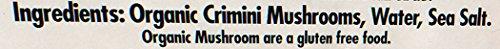 Native Forest Native Forest Organic Sliced Crimini Mushrooms, 4 Ounce Cans (Pack of 12)