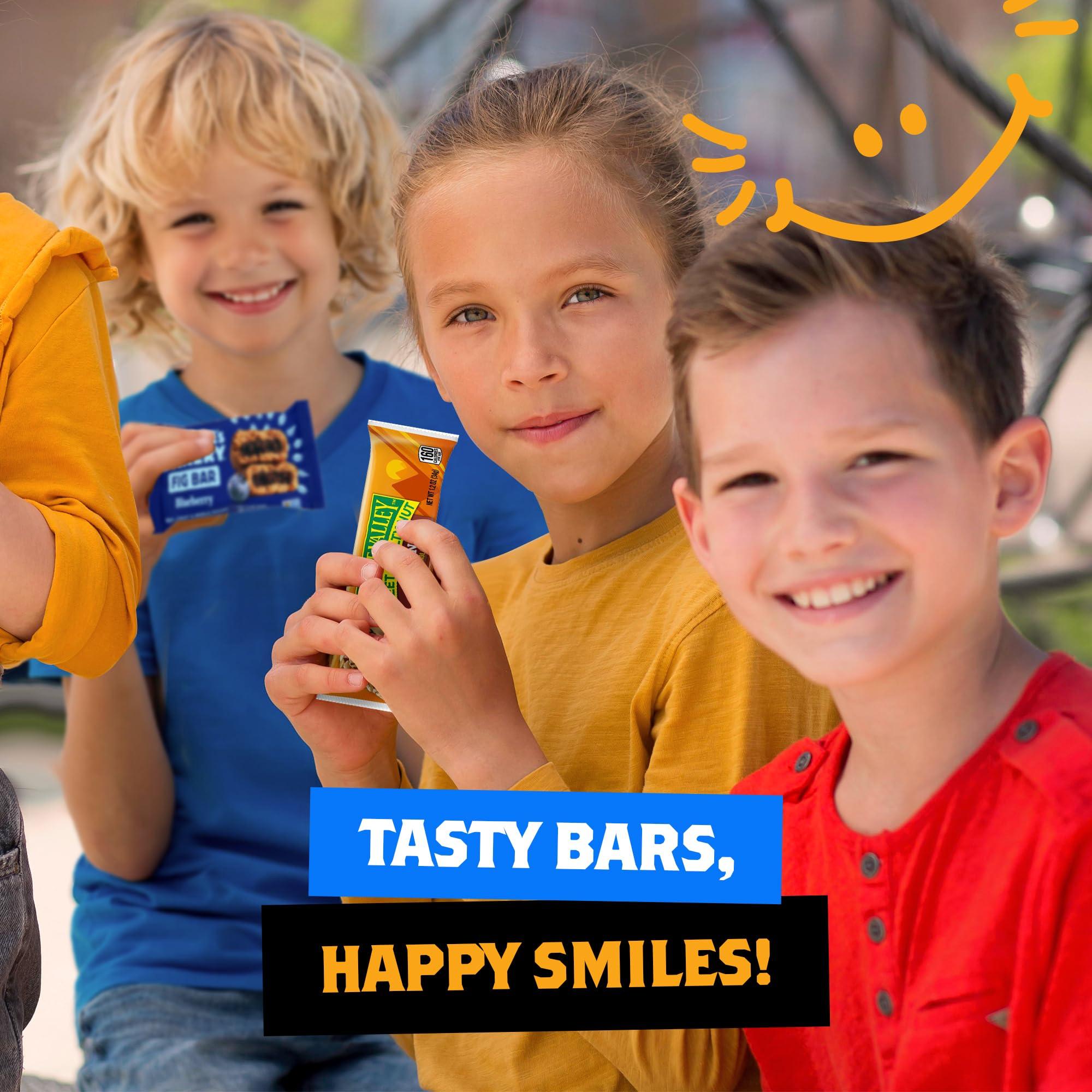 Yummey Granola Bars Bulk Variety Pack - Healthy Granola Bars Variety Snack Box for Office Snacks & Healthy Breakfast Bars - Snacks Variety Pack for Adults and Kids - Granola Bars Bulk (66 Count)