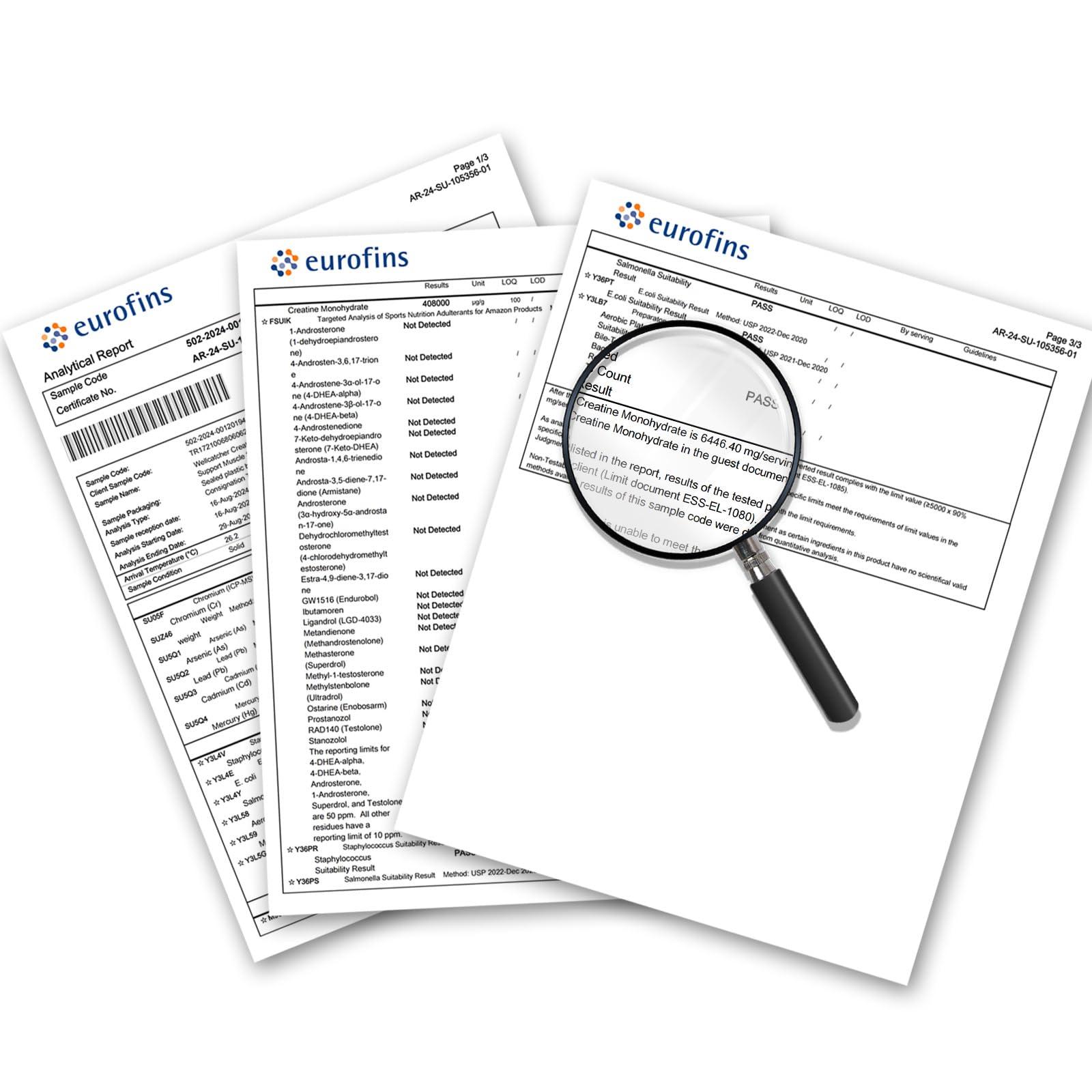 Wellcatcher Creatine Monohydrate Gummies for Men Women - Vegan Creatine Supplement Gummies 5000mg Chewable for Muscle Strength Growth Recovery, Lab Tested Preworkout Gummies Sugar Free Orange Flavor 120ct