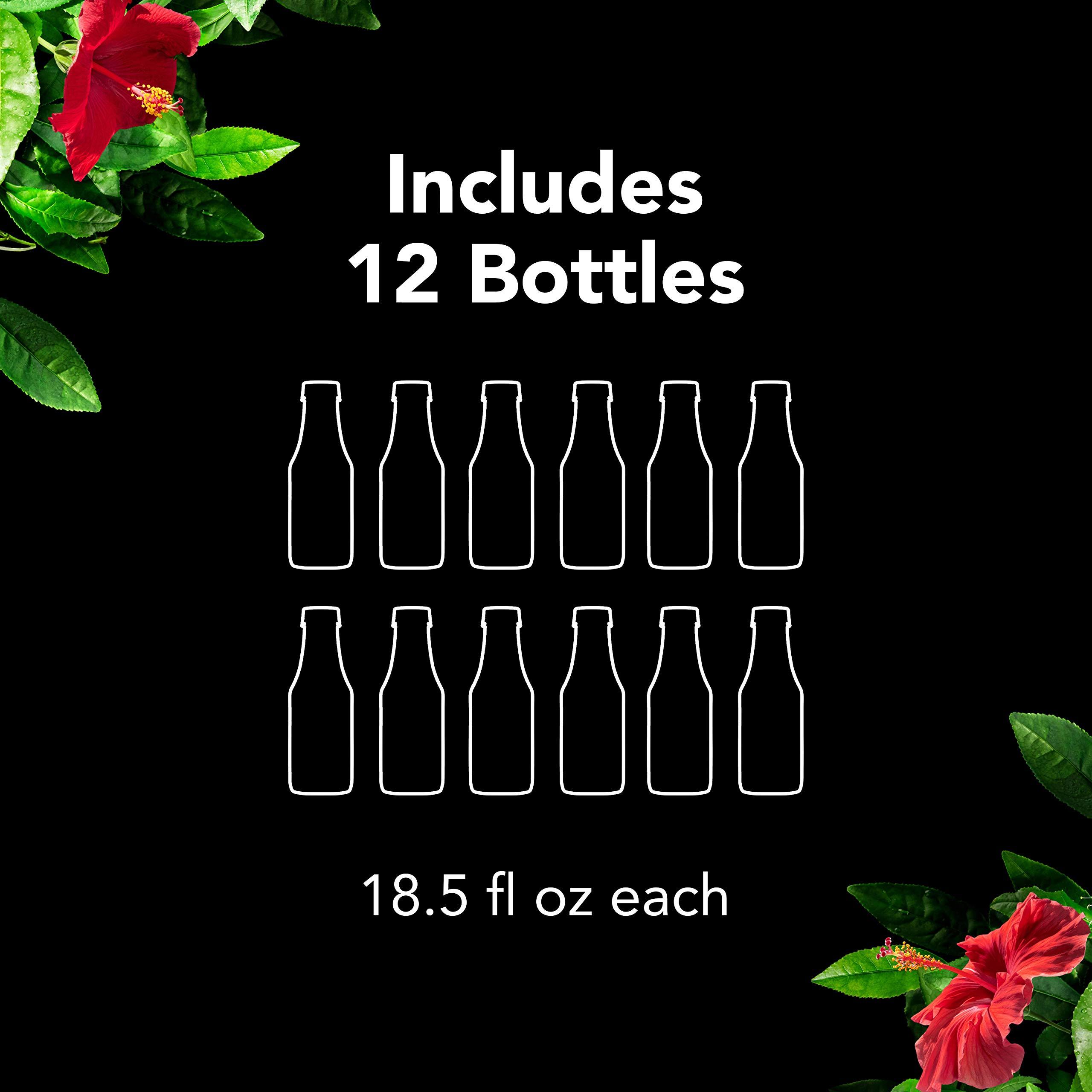 Pure Leaf Pure Leaf Iced Tea, Raspberry, Real Brewed Tea, 18.5 Fl Oz Bottles (Pack of 12)