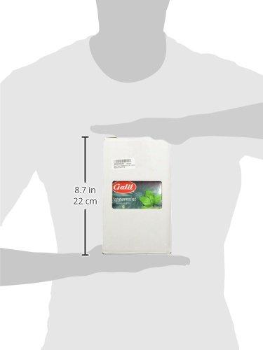 Galil Peppermint Herbal Tea | 20\' Tea Bags | 1.41 oz | Galil Pack of 1
