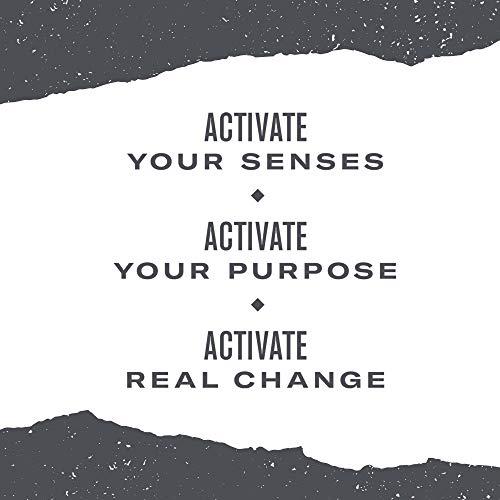 Numi Numi Organic Tea Moroccan Mint, 18 ct