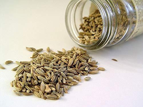 Greenlike Greenlike Fennel Seeds Xiao Hui Xiang Foeniculum 16 oz