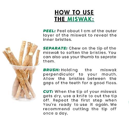 AL-TAQWA AL-TAQWA Miswak Stick |Miswak Toothbrush, Pack of 12, Natural Toothbrush, Chewable (Meswak)|Siwak Oral Hygiene, Teeth Whitening, Control Bad Breath | Eco-Friendly, Biodegradable, Nitric Oxide